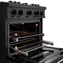 30 in. 4.2 cu. ft. Select Gas Range with 4 Burner Cooktop and Convection Gas Oven view 8