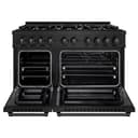 48 in. 6.7 cu. ft. Select Double Oven Gas Range view 4