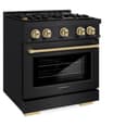 Autograph Edition 30 in. 4.2 cu. ft. Select Gas Range with 4 Burner Cooktop and Convection Gas Oven view 3