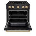 Autograph Edition 30 in. 4.2 cu. ft. Select Gas Range with 4 Burner Cooktop and Convection Gas Oven view 5