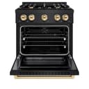 Autograph Edition 30 in. 4.2 cu. ft. Select Gas Range with 4 Burner Cooktop and Convection Gas Oven view 5