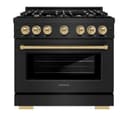 Autograph Edition 36 in. 5.2 cu. ft. Select Gas Range with 6 Burner Cooktop and Convection Gas Oven view 5