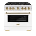 Autograph Edition 36 in. 5.2 cu. ft. Select Gas Range with 6 Burner Cooktop and Convection Gas Oven view 4