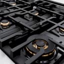 Autograph Edition 36 in. 5.2 cu. ft. Select Gas Range with 6 Burner Cooktop and Convection Gas Oven view 6