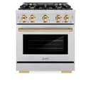 Autograph Edition 30 in. 4.2 cu. ft. Select Gas Range with 4 Burner Cooktop and Convection Gas Oven view 5