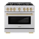 Autograph Edition 36 in. 5.2 cu. ft. Select Gas Range with 6 Burner Cooktop and Convection Gas Oven view 5