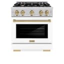 Autograph Edition 30 in. 4.2 cu. ft. Select Gas Range with 4 Burner Cooktop and Convection Gas Oven view 5