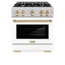 Autograph Edition 30 in. 4.2 cu. ft. Select Gas Range with 4 Burner Cooktop and Convection Gas Oven view 6