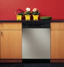 Built-In Dishwasher view 3