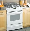 30" Dual Fuel Slide-In Range view 1