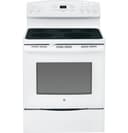 30" Free-Standing Electric Convection Range view 1