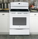 30" Free-Standing Electric Convection Range view 7