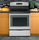 30" Free-Standing Electric Convection Range view 8