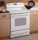 30" Free-Standing Electric Convection Range view 1