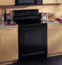 Spectra 30" Free-Standing QuickClean Electric Range view 2