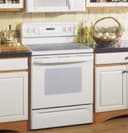 30" Free-Standing Spectra Convection Range view 2