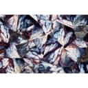 24" Elements Collection Mussel Shell Burgundy Custom Column Panel view 2