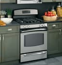 Free-Standing Self-Clean Gas Range view 1