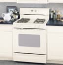Spectra 30" Free-Standing Gas Range view 1