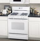 Spectra 30" Free-Standing Gas Range view 1