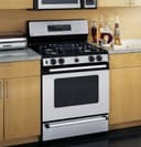 Spectra 30" Self-Clean Free-Standing Gas Range with Warming Drawer view 2