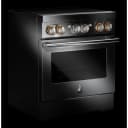 RISE™ 30" Induction Professional-Style Range view 5