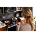 Precision Cooking Probe view 4