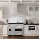 48" DuraSnow® Range Hood with Shell and Handle - DuraSnow® view 2