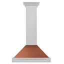 30 In. Convertible Satin Stainless Steel Wall Mount Range Hood With Copper Shell And Stainless Steel Handle view 1
