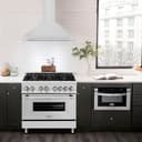 36" Stainless Steel Range Hood with Matte Shell and Stainless Steel Handle view 2