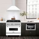 36" Stainless Steel Range Hood with Stainless Steel Handle (KB4STX-36) Matte view 2
