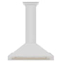 36in. Autograph Edition Convertible Stainless Steel Range Hood with Stainless Steel Shell and Polished Polished Gold Accents view 4