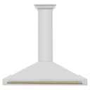 48in. Autograph Edition Convertible Stainless Steel Range Hood with Stainless Steel Shell and Champagne Bronze Accents view 4