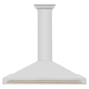 48in. Autograph Edition Convertible Stainless Steel Range Hood with Stainless Steel Shell and Polished Polished Gold Accents view 3