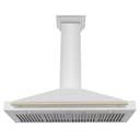 48in. Autograph Edition Convertible Stainless Steel Range Hood with Stainless Steel Shell and Polished Polished Gold Accents view 4