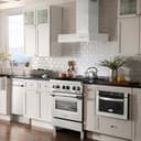 30 In. Convertible Professional Wall Mount Range Hood In Stainless Steel view 2