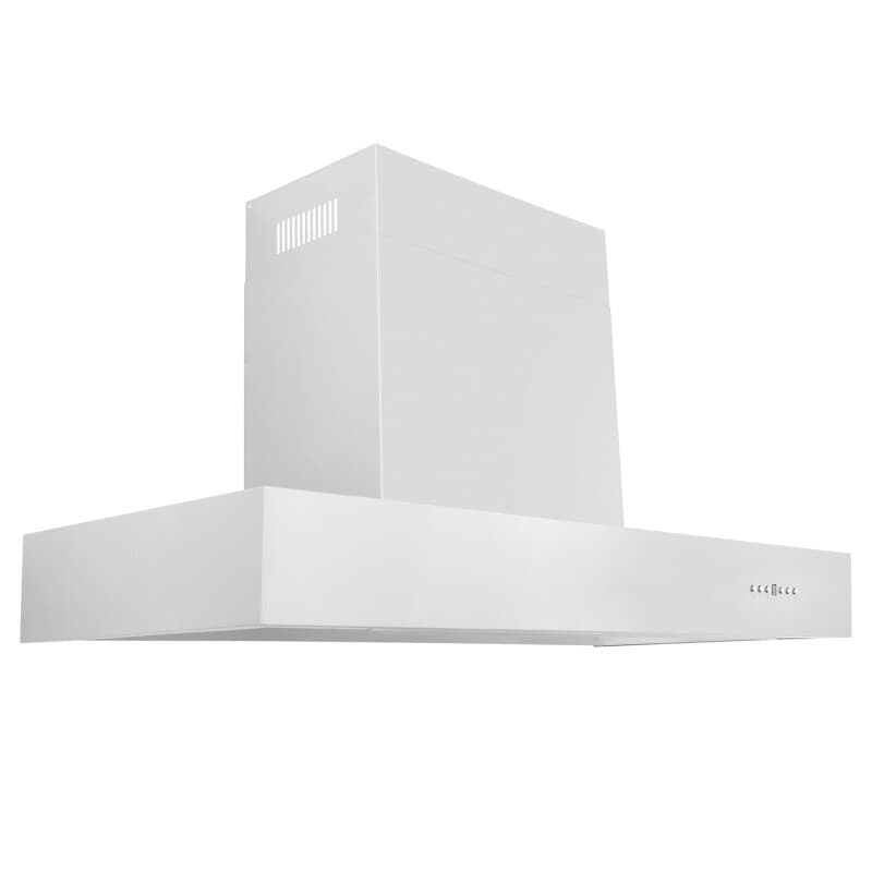 42 In. Ducted Professional Wall Mount Range Hood In Stainless Steel
