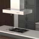 42 in. Ducted Professional Island Mount Range Hood view 4