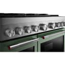 48-Inch 6 Burner Commercial-Style Dual Fuel Range with Griddle view 7