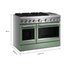 48-Inch 6 Burner Commercial-Style Dual Fuel Range with Griddle view 3