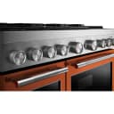 48-Inch 6 Burner Commercial-Style Dual Fuel Range with Griddle view 7