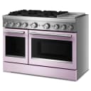 48-Inch 6 Burner Commercial-Style Dual Fuel Range with Griddle view 6