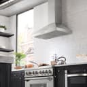 Convertible Vent Wall Mount Range Hood (KL3) - 42 inch view 4