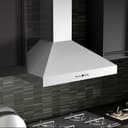 48" Convertible Vent Convertible Vent Wall Mount Range Hood with Crown Molding - 48 Inch view 8