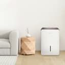 50-pint Dehumidifier with Built-In Pump view 10