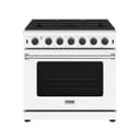 36 Inch Professional Gas Range In White view 1