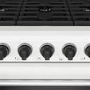 36 Inch Professional Gas Range In White view 10