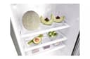 7 Cu. Ft. Single Door Refrigerator view 6