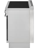 Induction Range Side Guard view 2