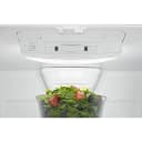 30-Inch Wide Bottom Mount Refrigerator - 19 Cu. Ft. view 8
